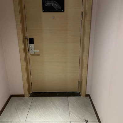 Hospitality Flush Wood Door with Electric Lock