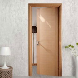 5 Ply Veneer Stained Flush Wood Door
